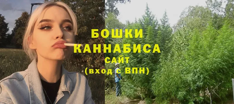 Сколько стоит Западная Двина Cocaine  Бошки Шишки  Alpha PVP  Гашиш  Мефедрон 