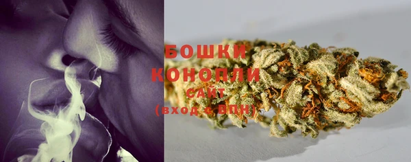 ПСИЛОЦИБИНОВЫЕ ГРИБЫ Няндома