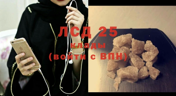 ПСИЛОЦИБИНОВЫЕ ГРИБЫ Няндома