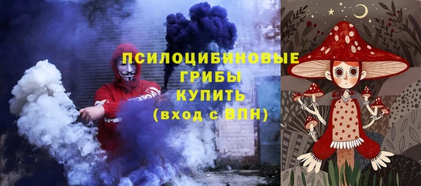 дурь Осинники