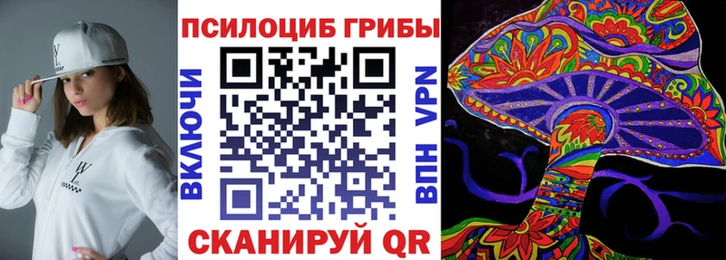 Галлюциногенные грибы Psilocybine cubensis  Западная Двина 