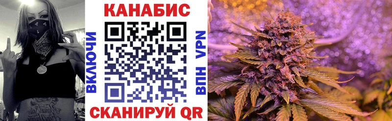 Каннабис MAZAR  Западная Двина 